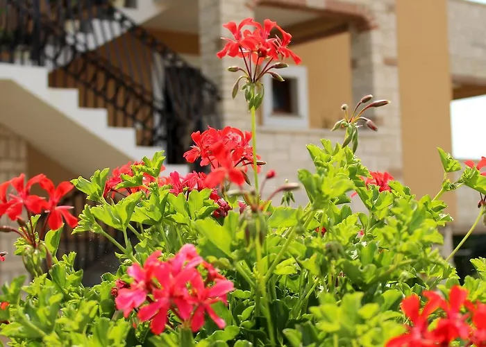 Apartment Ds Apartment Porec *